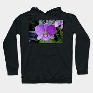 Maui Resort Study 11 Hoodie